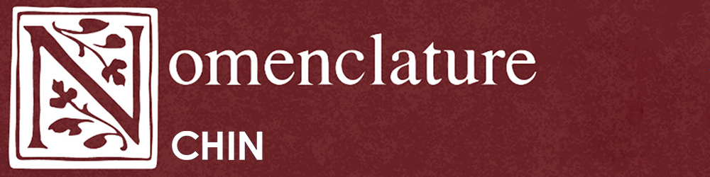 CHIN: Nomenclature